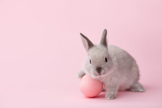 Cruelty Free and Vegan products: what does it mean?
