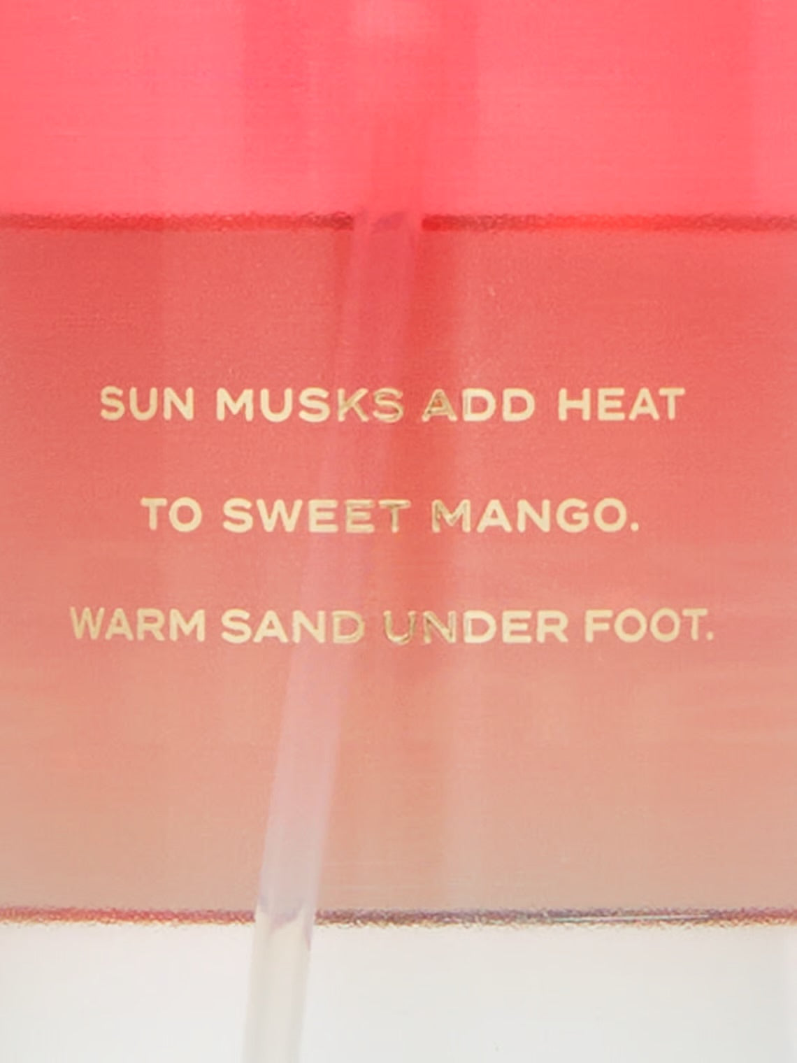 Brume Sizzling Vanilla de Victoria's Secret🥭🥥