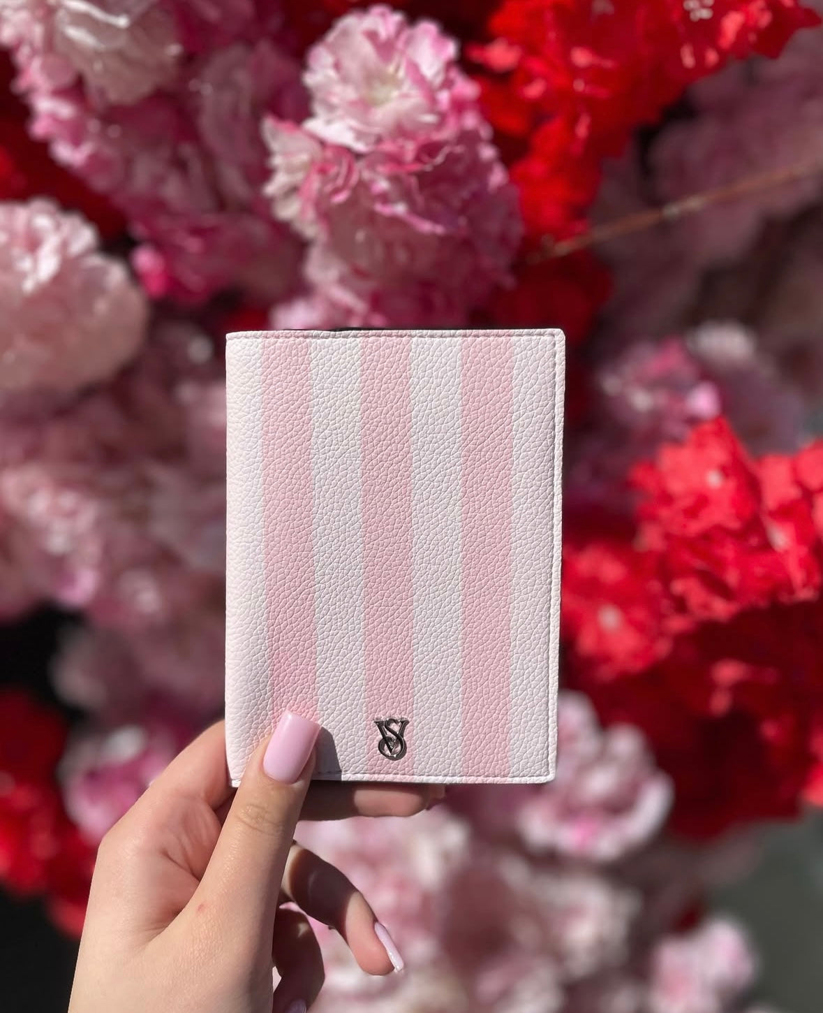 Étui pour passeport de Victoria's Secret✈️