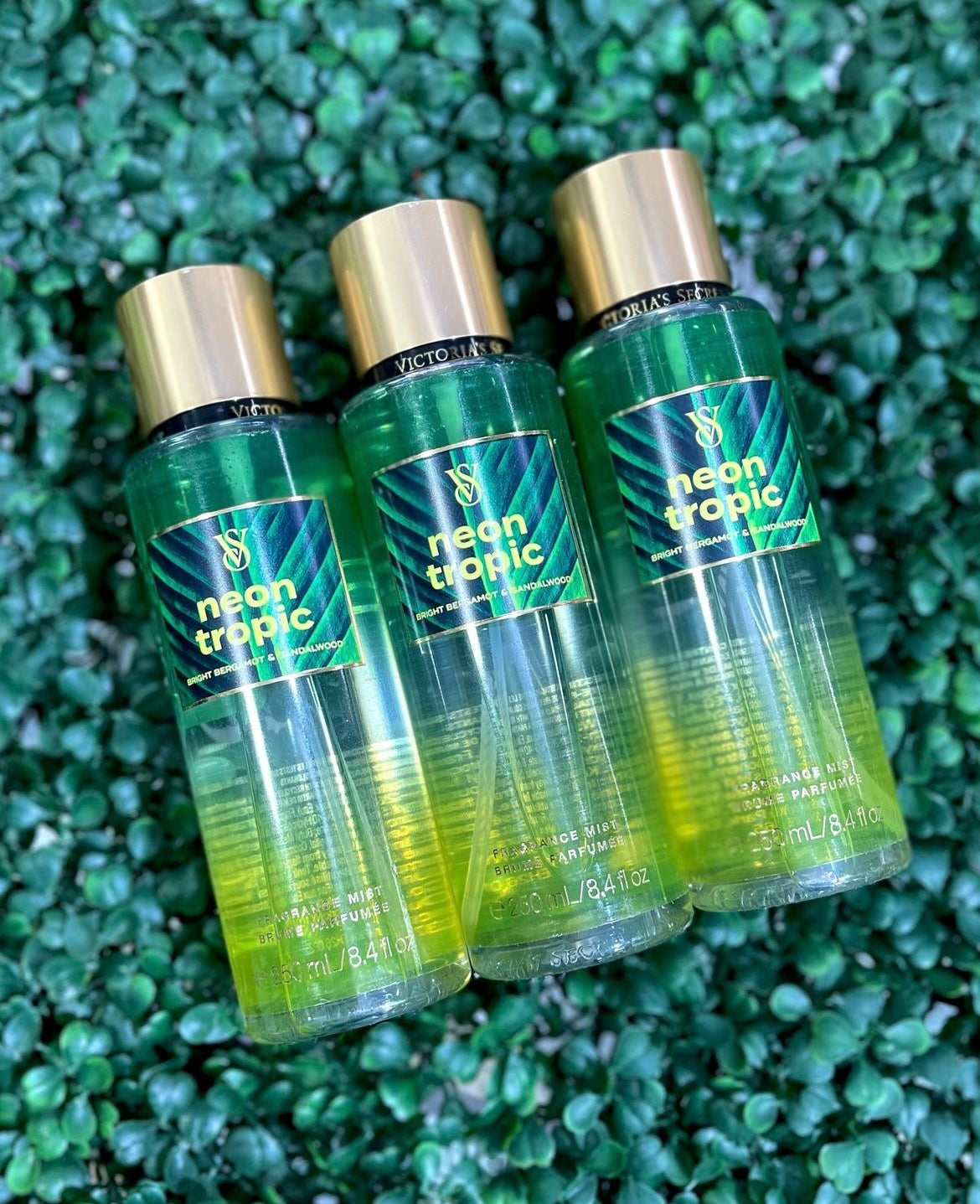 Brume Neon Tropic de Victoria's Secret🍉