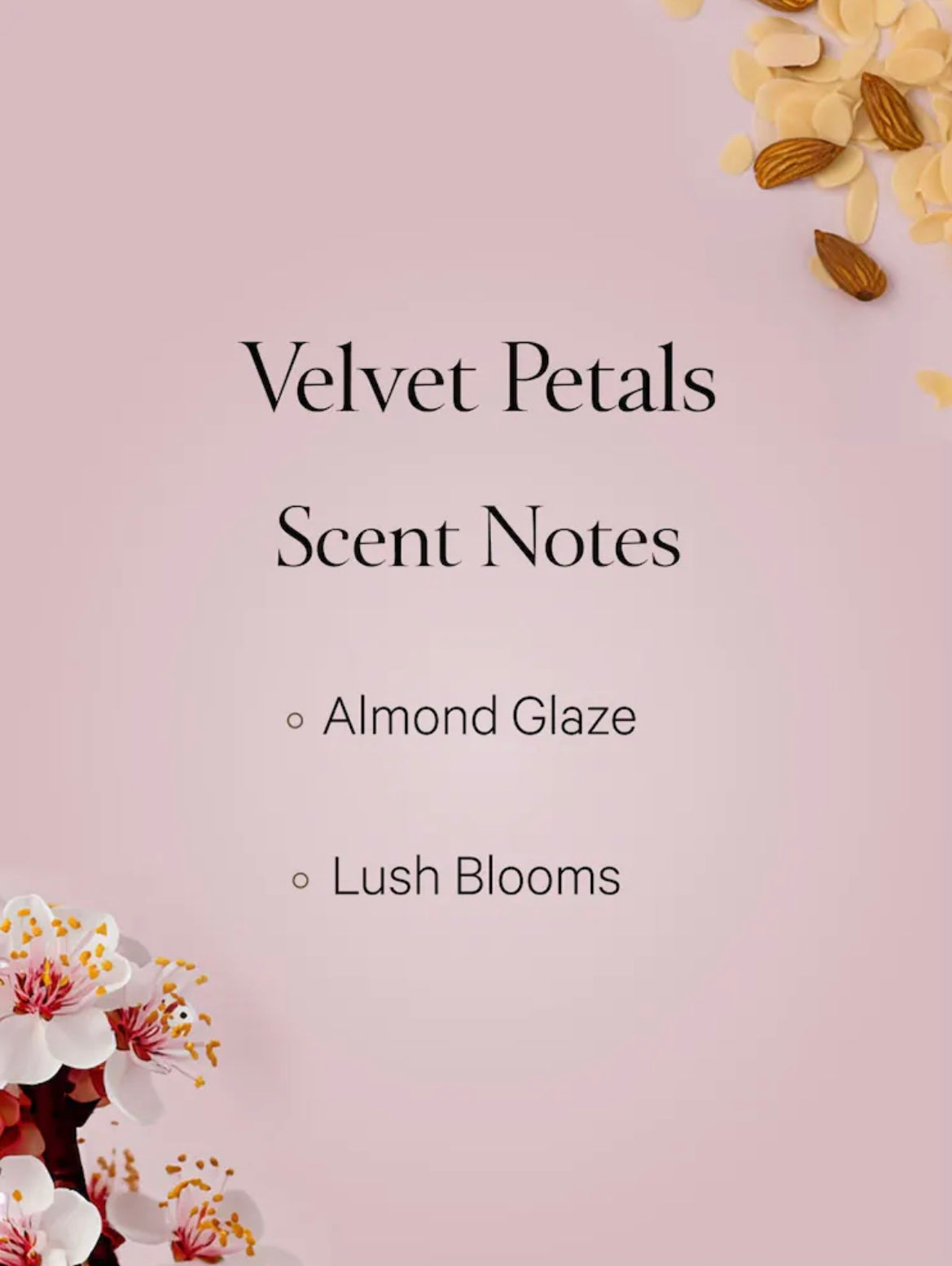 Coffret Velvet Petals de Victoria's Secret🎁