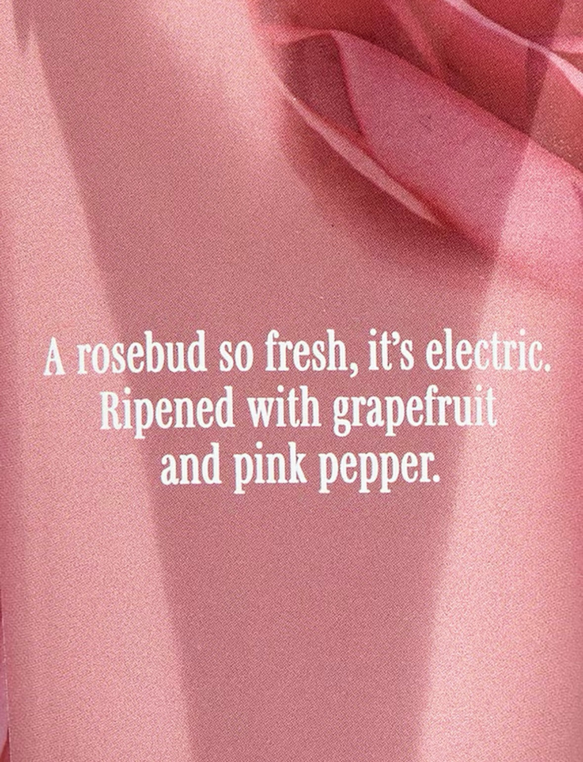 Crème pour le corps Petal Buzz de Victoria's Secret🌸